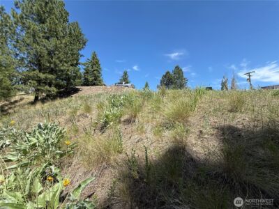 0 Dollar Bar Beach Road , Republic, WA 99166 - Photo 9