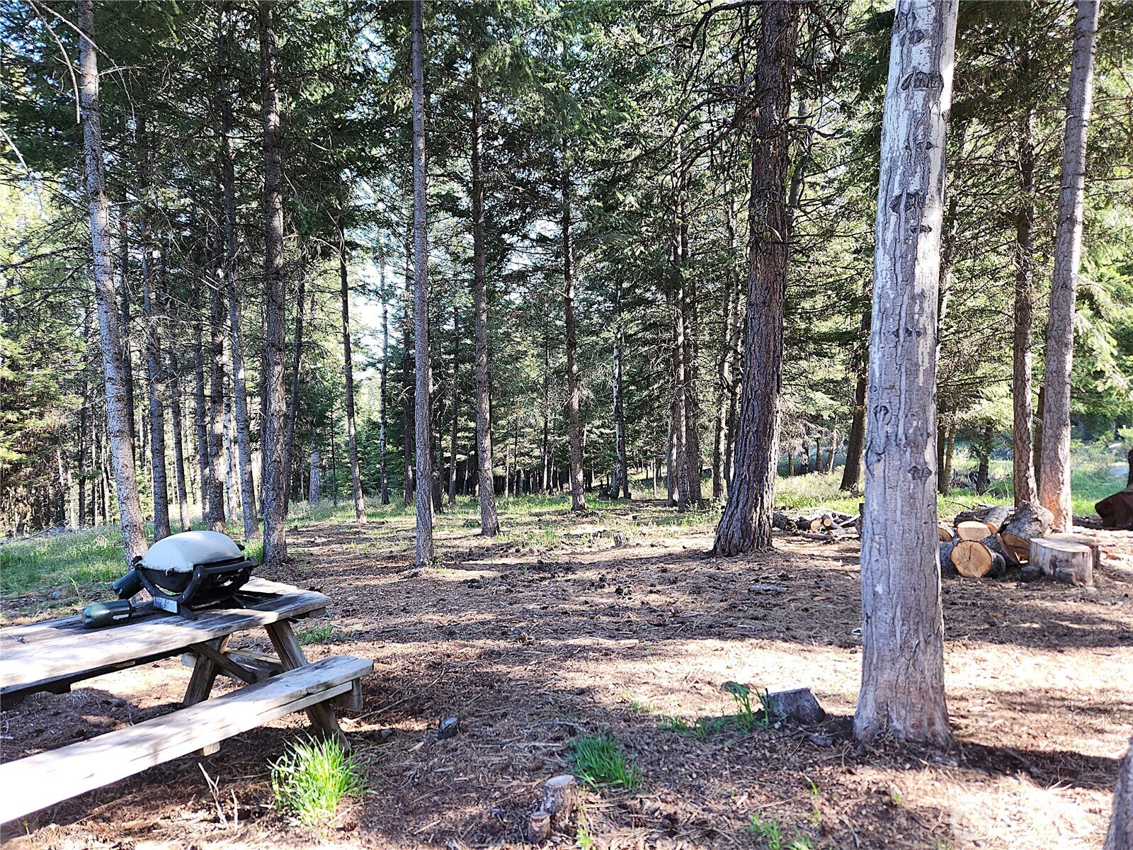 51 Trapline Loop Road , Oroville, WA 98844