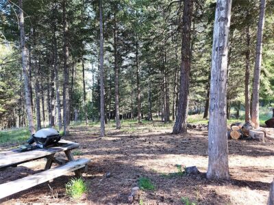 51 Trapline Loop Road , Oroville, WA 98844 - Photo 16