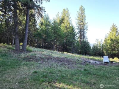 51 Trapline Loop Road , Oroville, WA 98844 - Photo 4