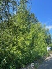 31 xxx NE Lilly Road NE, Olympia, WA 98506 - Photo 2