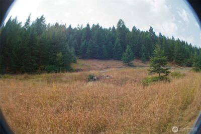 0 Wellman Road , Republic, WA 99166 - Photo 11