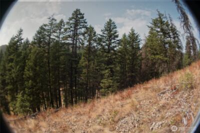 0 Wellman Road , Republic, WA 99166 - Photo 12