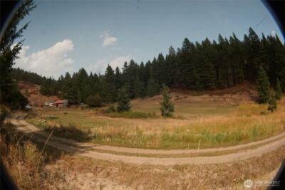 0 Wellman Road , Republic, WA 99166 - Photo 13