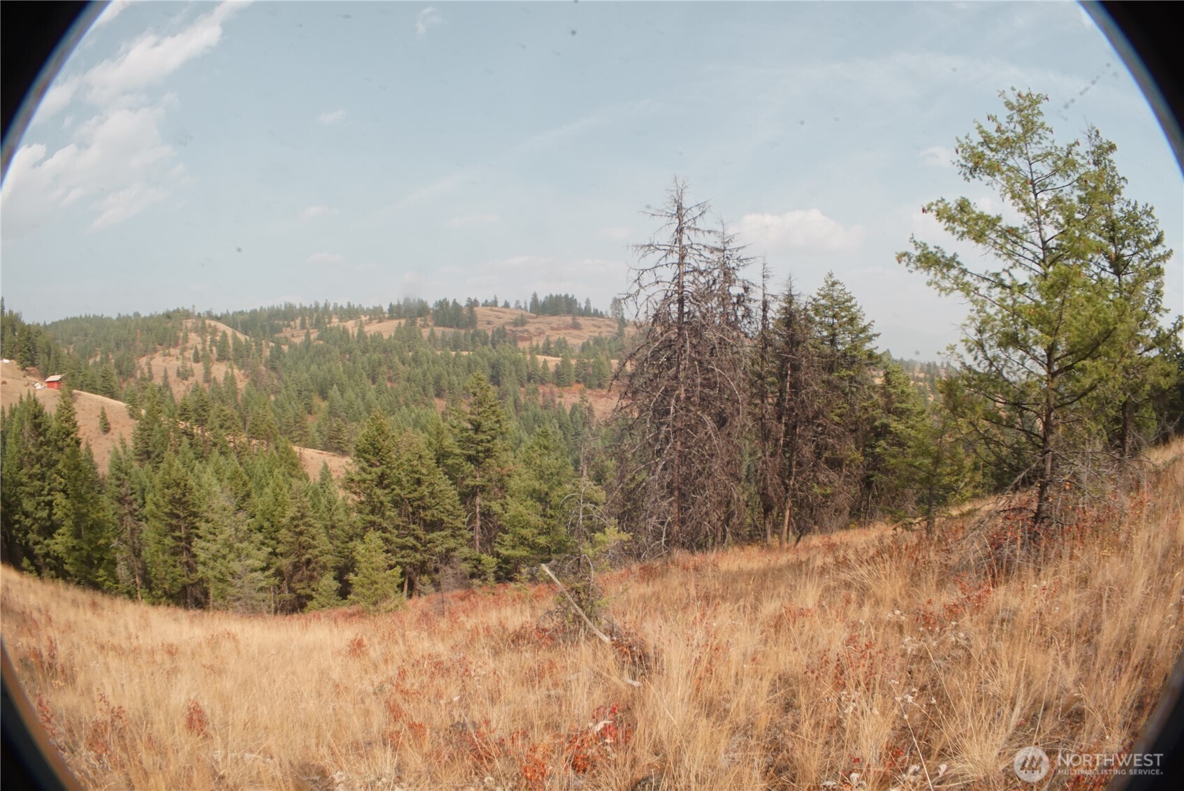 0 Wellman Road , Republic, WA 99166