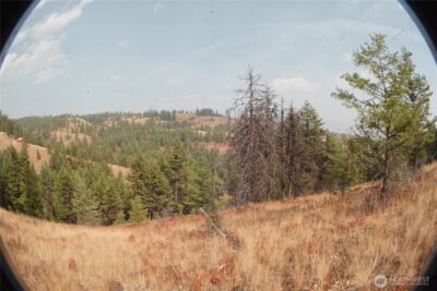 0 Wellman Road , Republic, WA 99166 - Photo 14