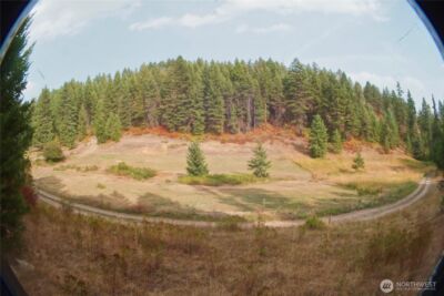 0 Wellman Road , Republic, WA 99166 - Photo 15