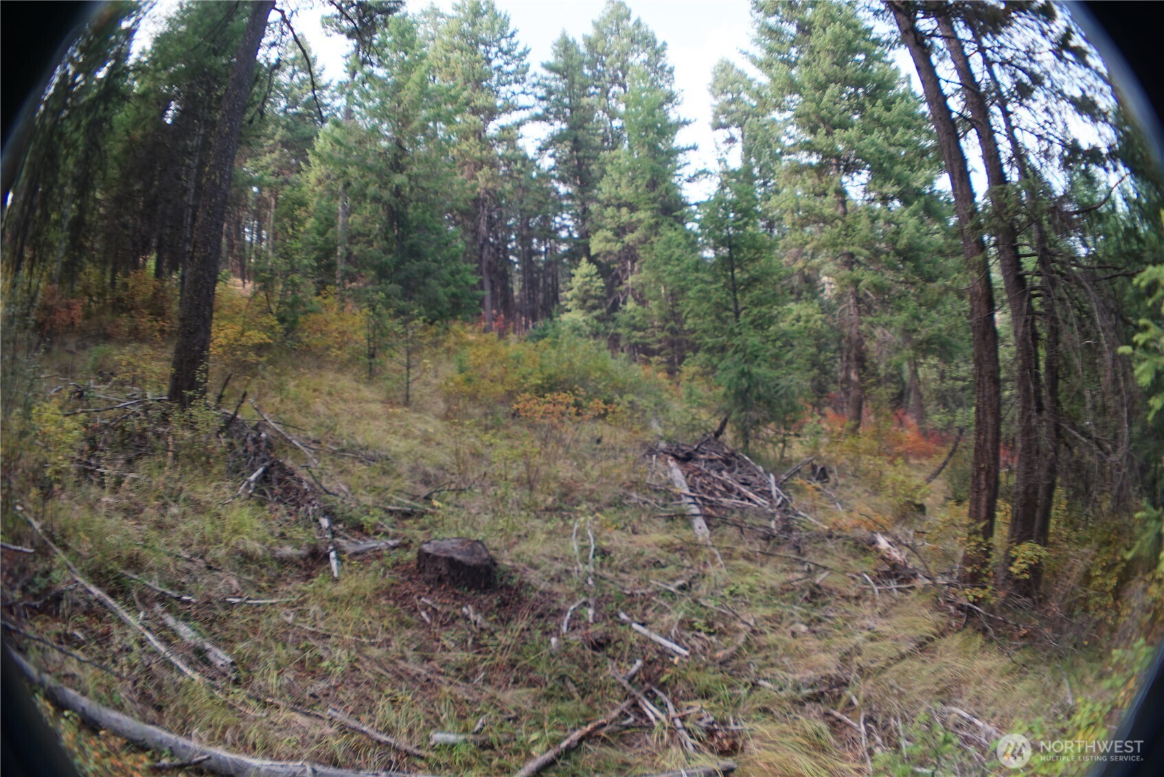 0 Wellman Road , Republic, WA 99166