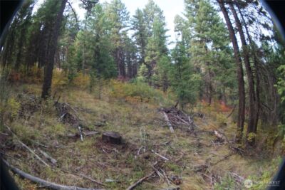 0 Wellman Road , Republic, WA 99166 - Photo 16