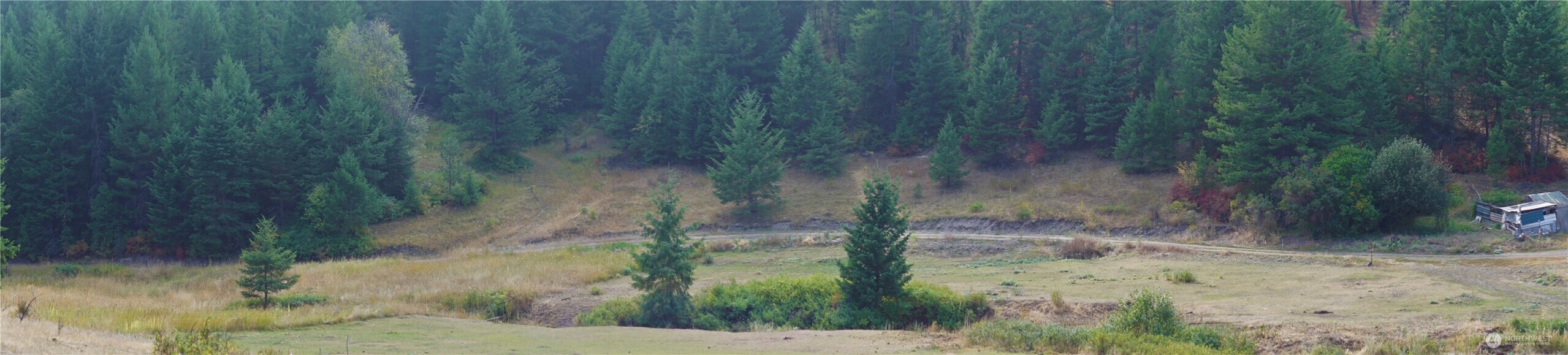 0 Wellman Road , Republic, WA 99166