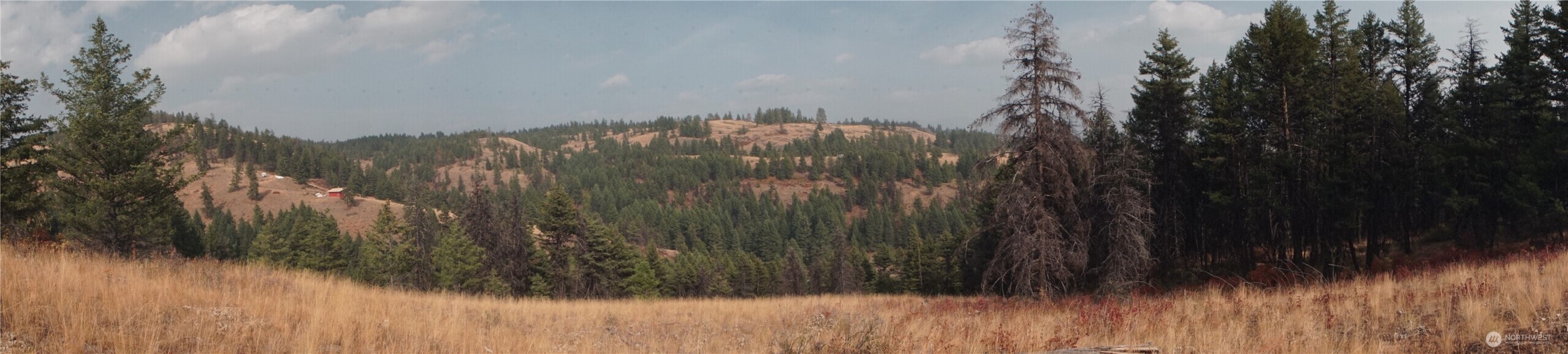 0 Wellman Road , Republic, WA 99166