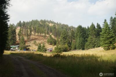 0 Wellman Road , Republic, WA 99166 - Photo 2