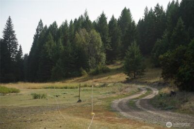 0 Wellman Road , Republic, WA 99166 - Photo 3