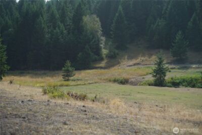 0 Wellman Road , Republic, WA 99166 - Photo 4