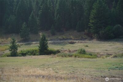 0 Wellman Road , Republic, WA 99166 - Photo 5