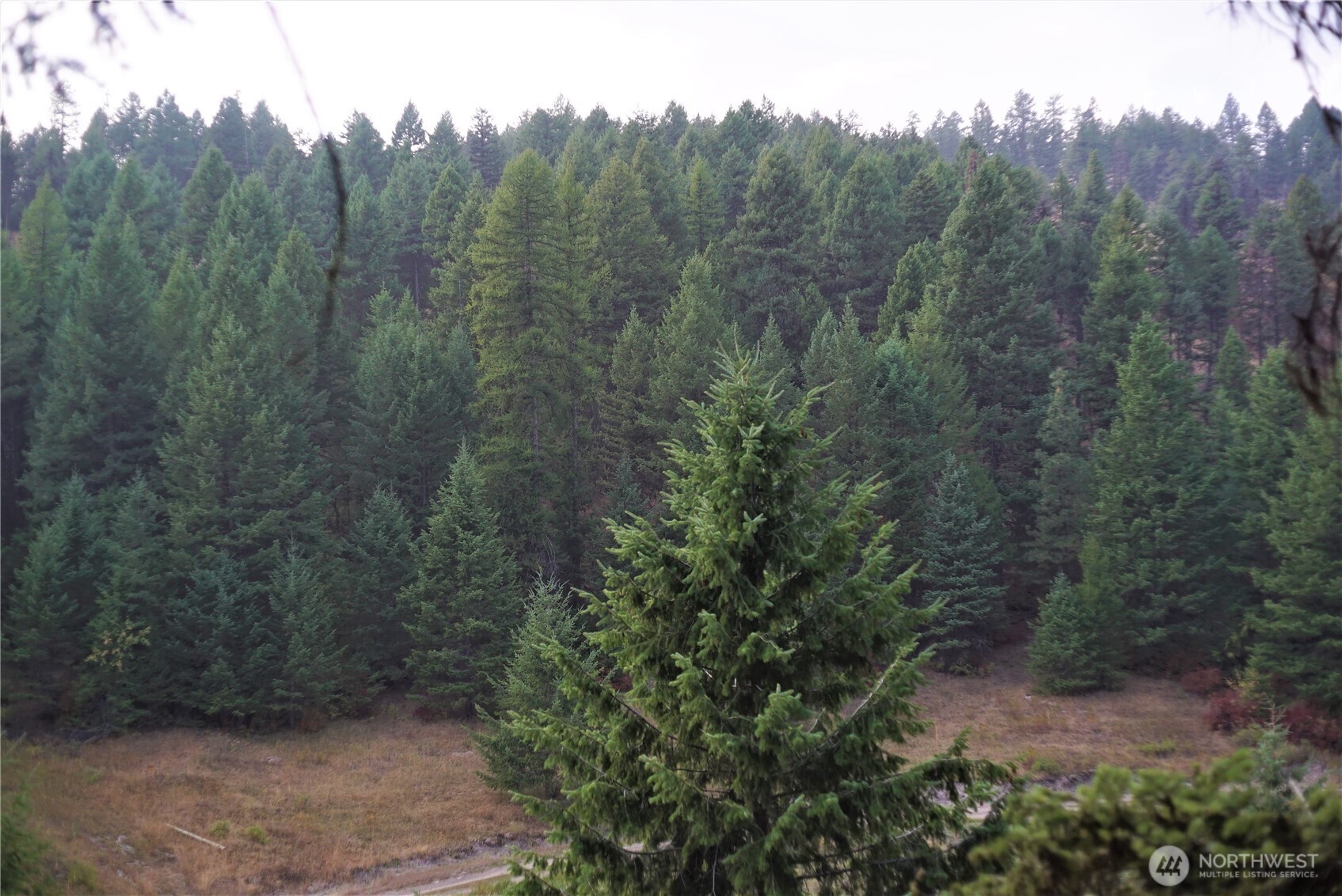 0 Wellman Road , Republic, WA 99166