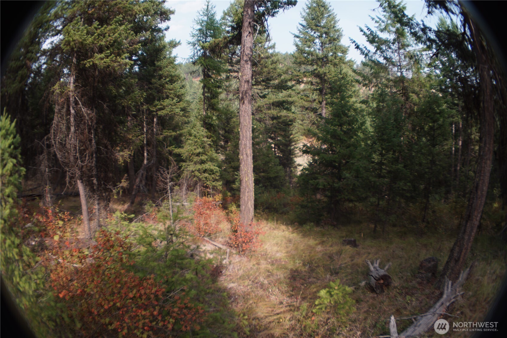 0 Wellman Road , Republic, WA 99166