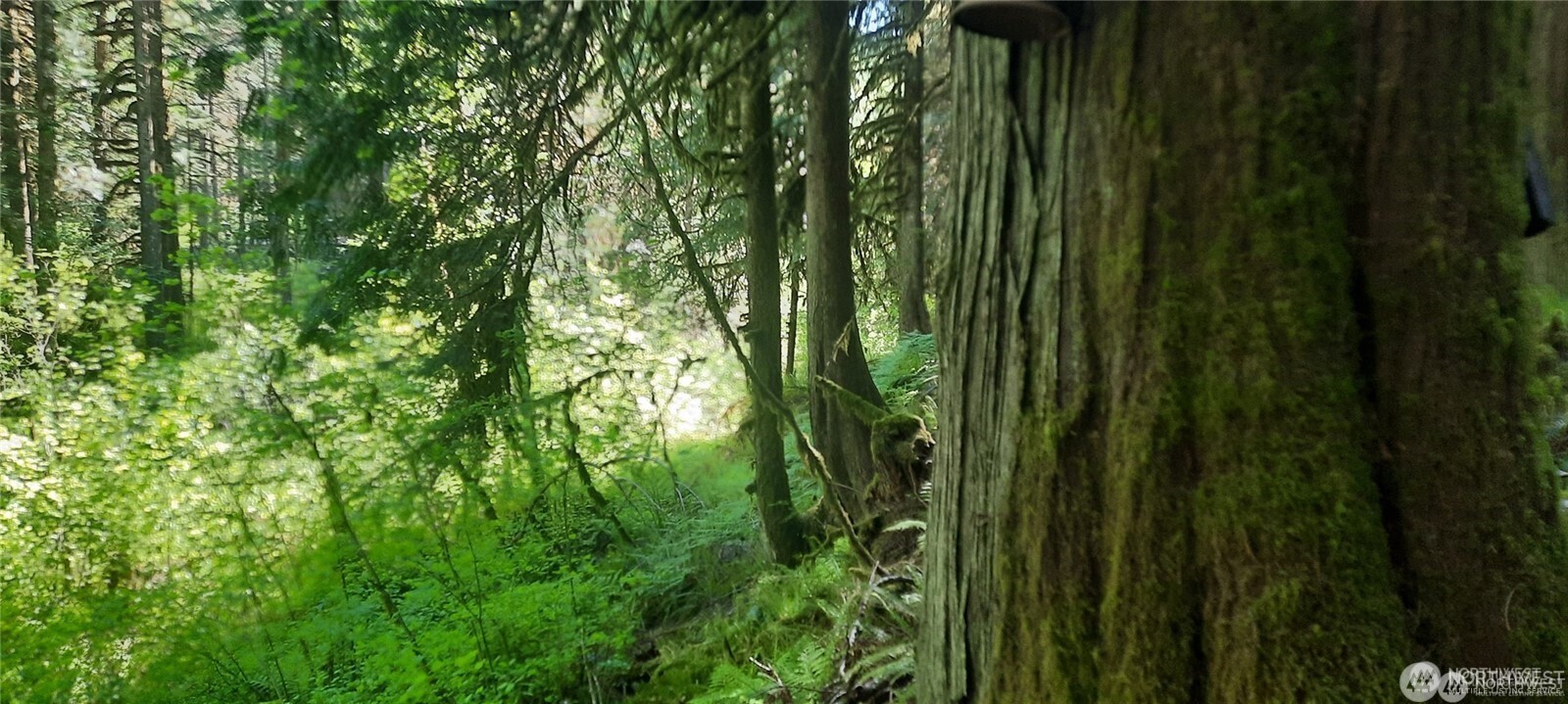 8444 South Cascade Drive , Marblemount, WA 98267