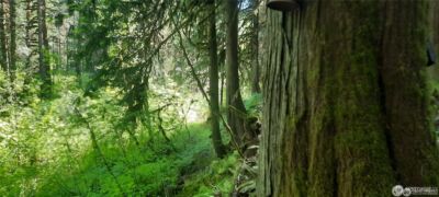 8444 South Cascade Drive , Marblemount, WA 98267 - Photo 21