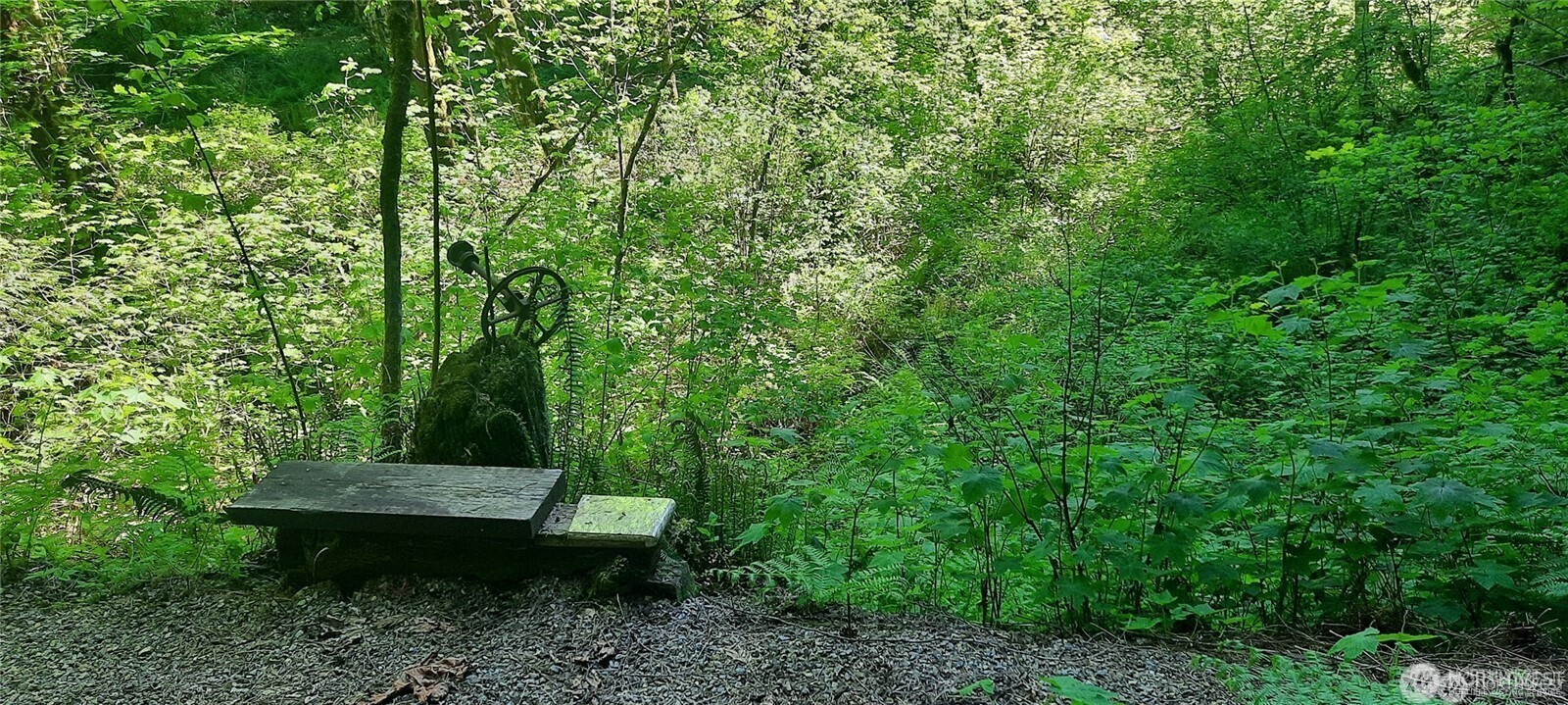 8444 South Cascade Drive , Marblemount, WA 98267