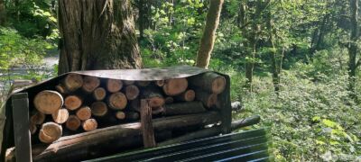 8444 South Cascade Drive , Marblemount, WA 98267 - Photo 23