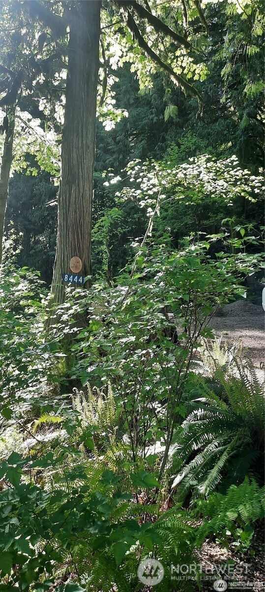 8444 South Cascade Drive , Marblemount, WA 98267