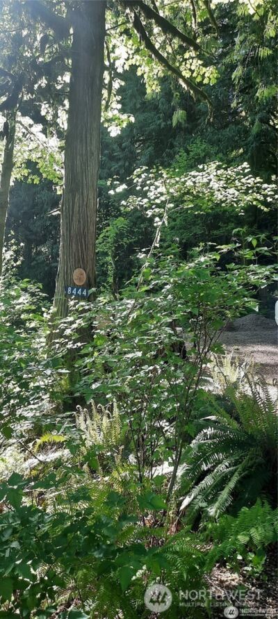 8444 South Cascade Drive , Marblemount, WA 98267 - Photo 25