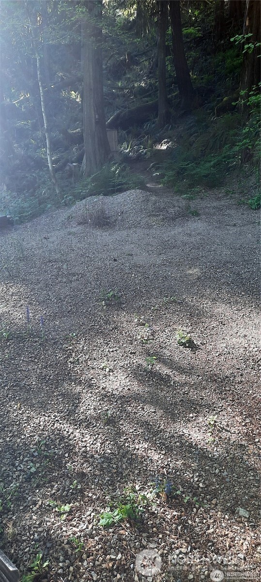 8444 South Cascade Drive , Marblemount, WA 98267