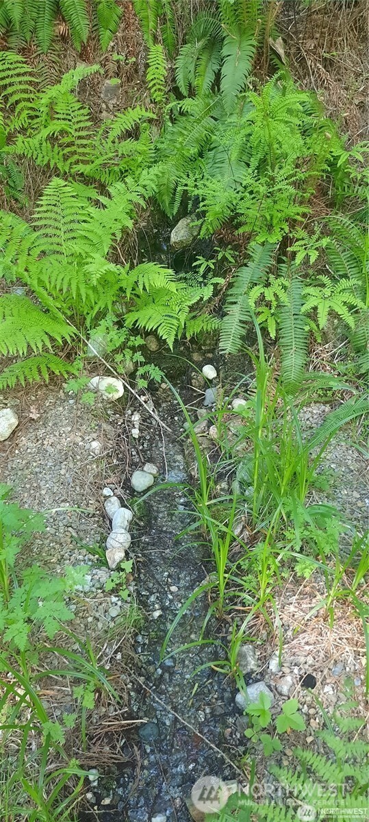 8444 South Cascade Drive , Marblemount, WA 98267