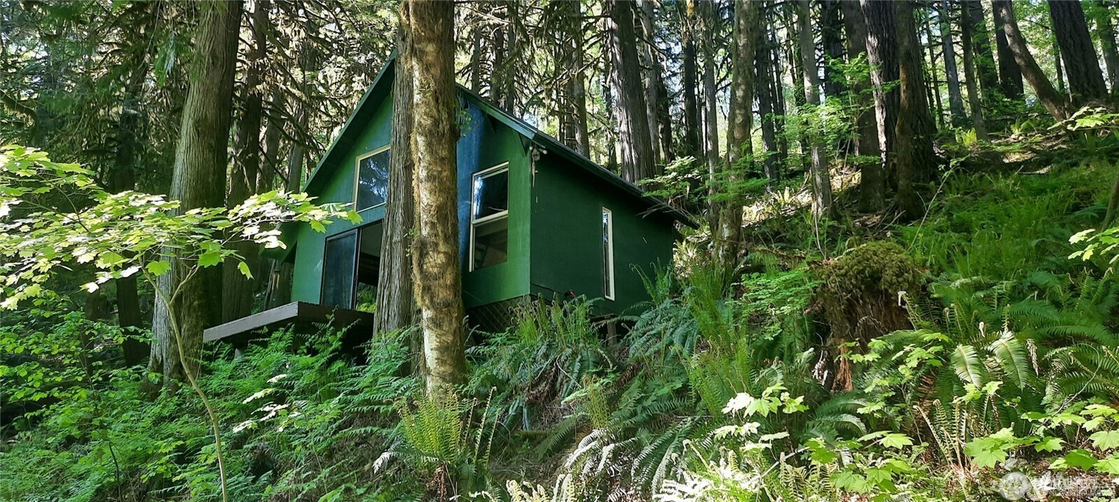 8444 South Cascade Drive , Marblemount, WA 98267