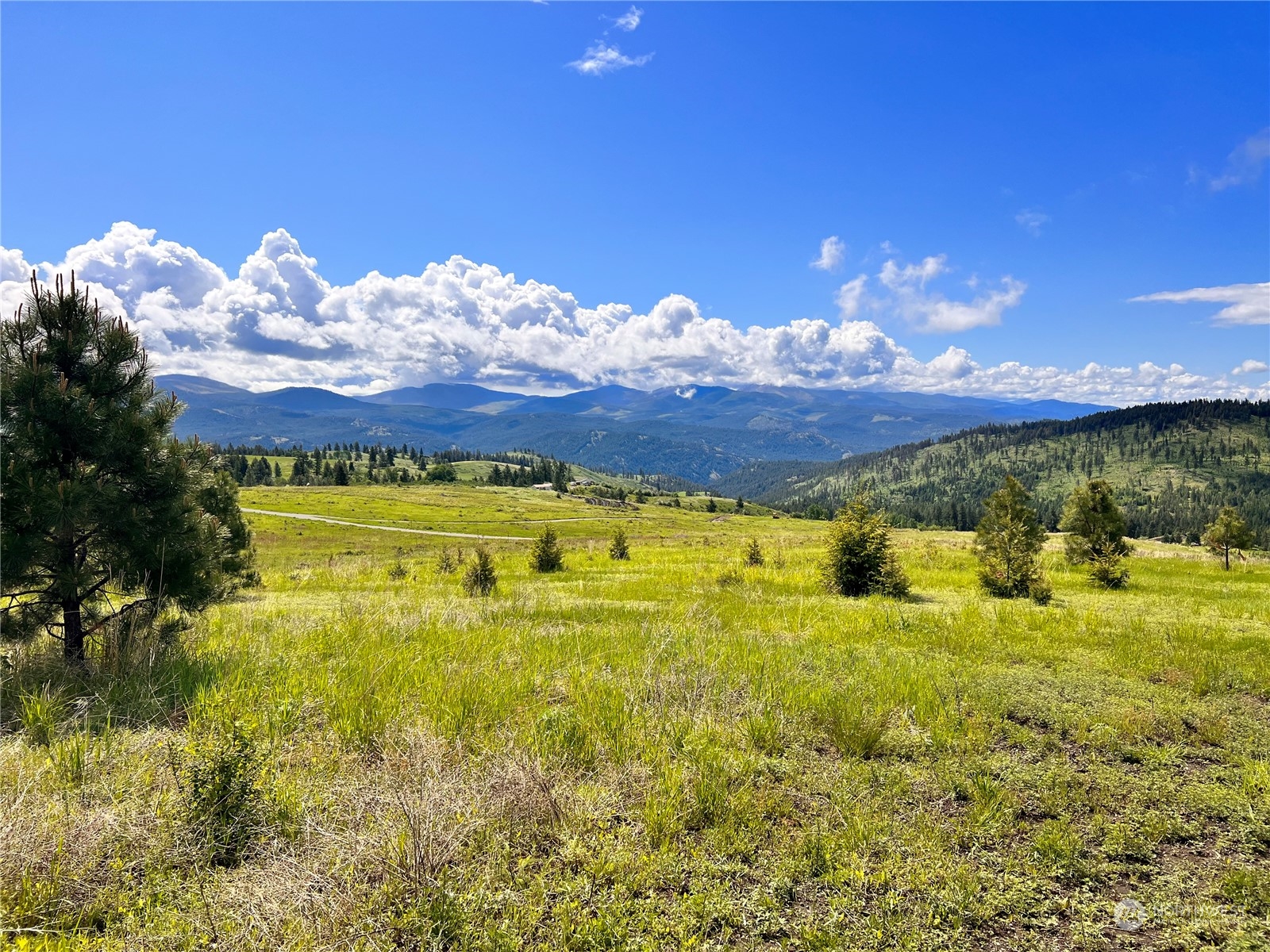 39 Moonlight Drive , Curlew, WA 99118