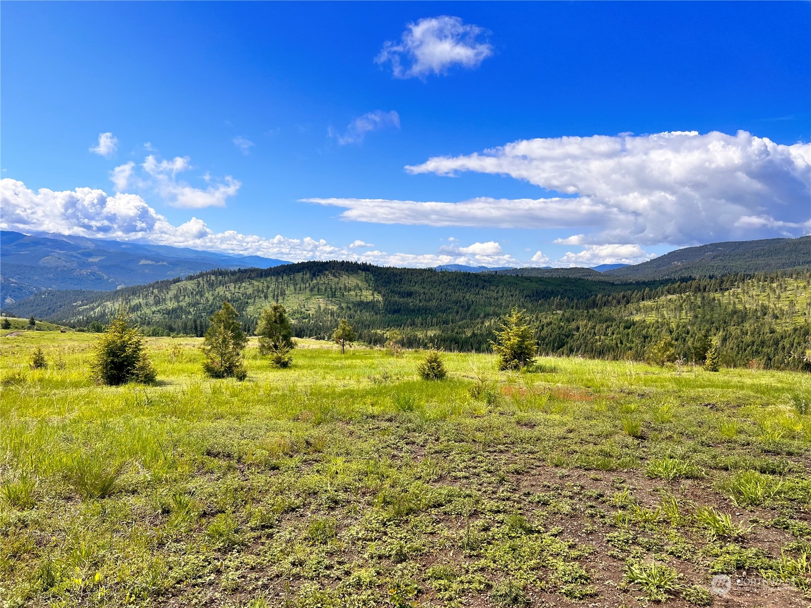 39 Moonlight Drive , Curlew, WA 99118