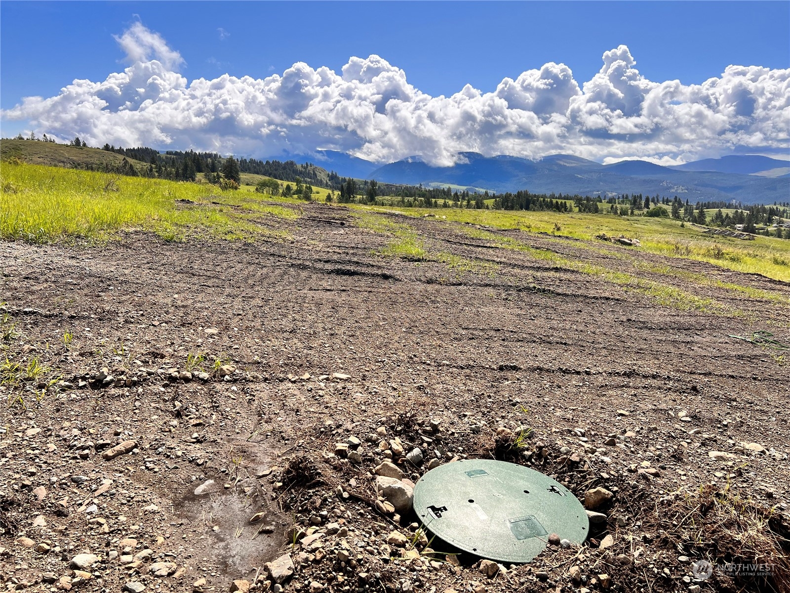 39 Moonlight Drive , Curlew, WA 99118