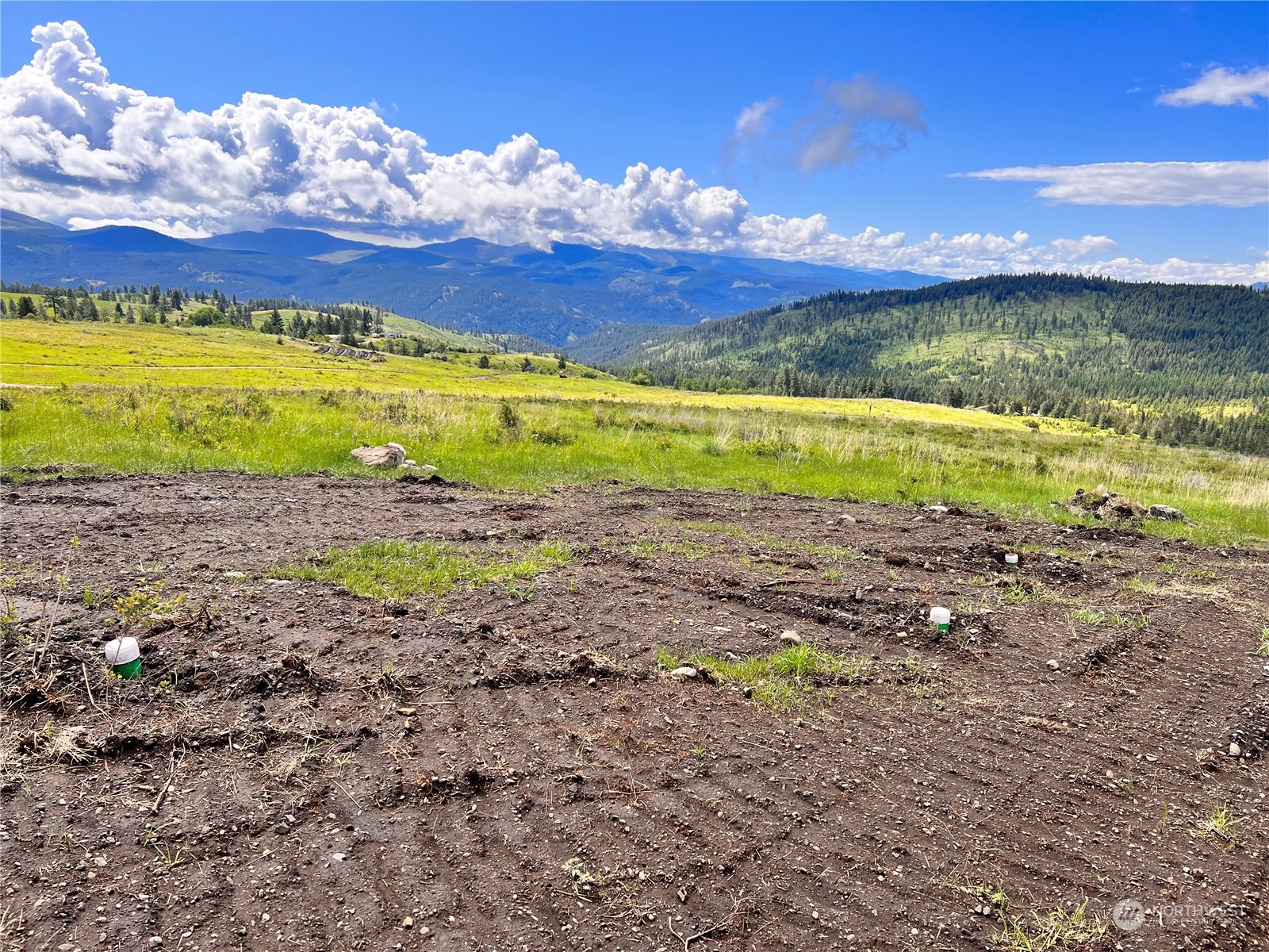 39 Moonlight Drive , Curlew, WA 99118