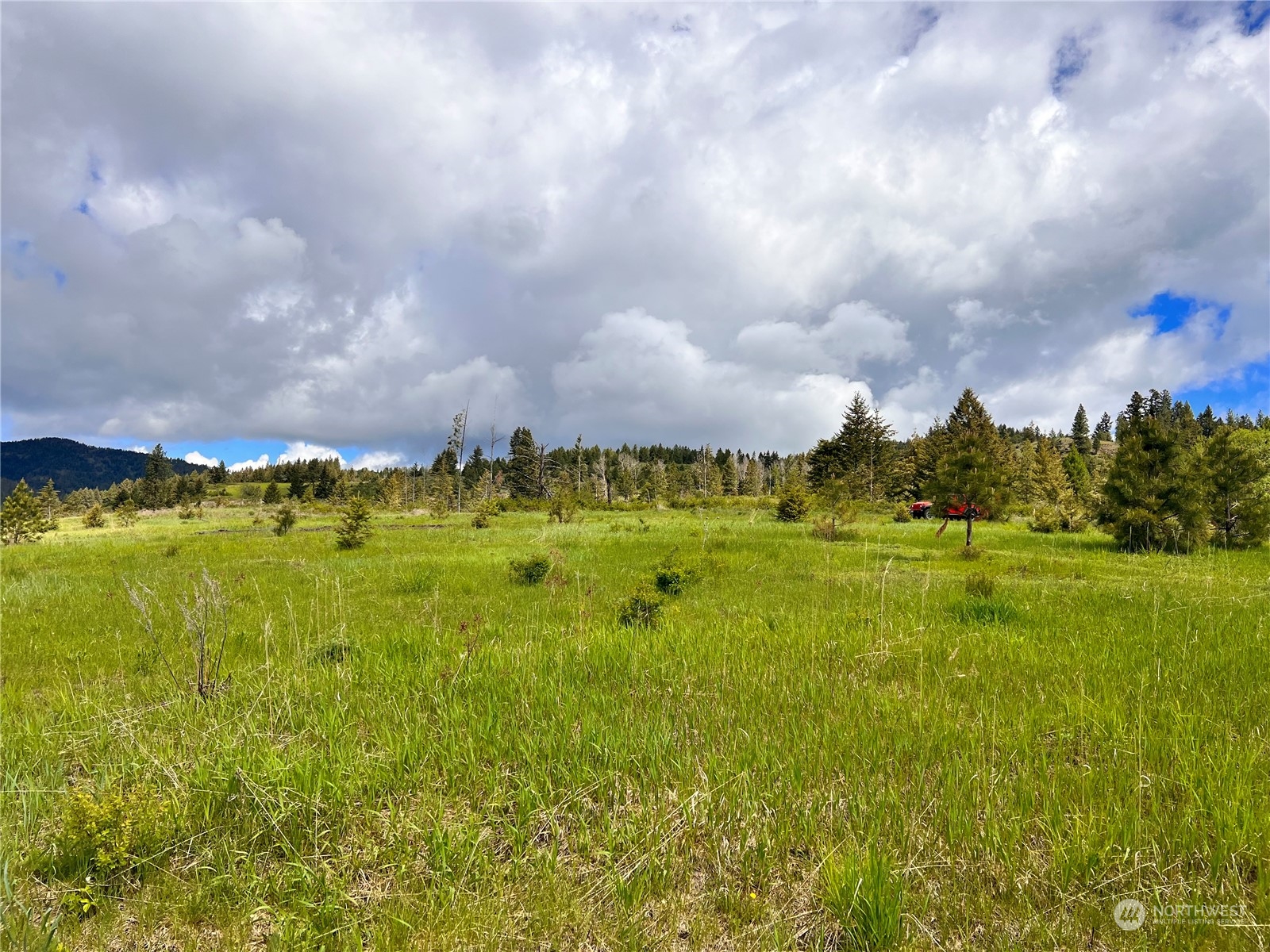 39 Moonlight Drive , Curlew, WA 99118