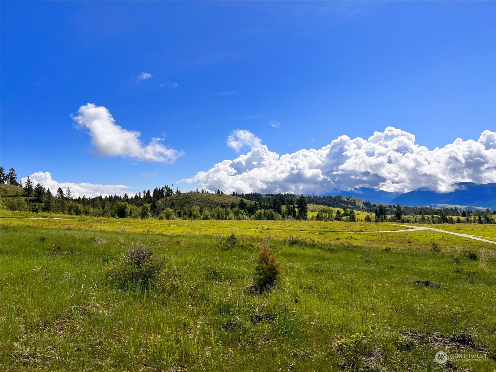 39 Moonlight Drive , Curlew, WA 99118