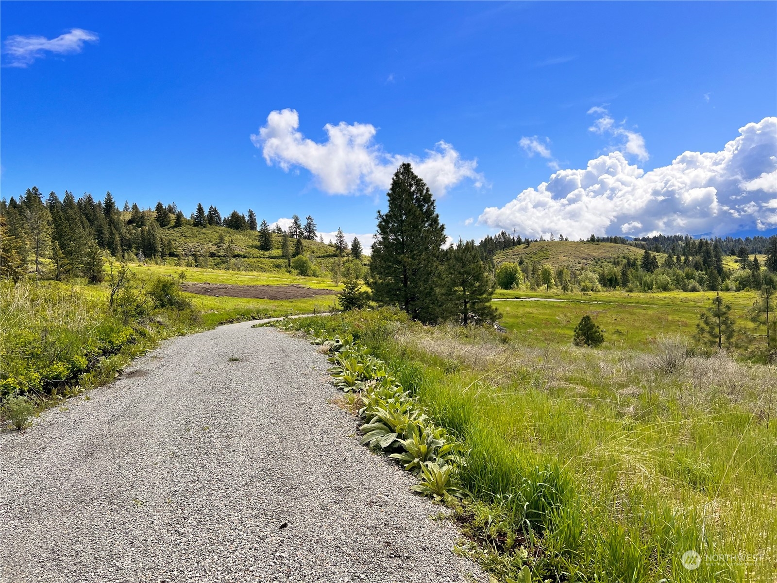 39 Moonlight Drive , Curlew, WA 99118