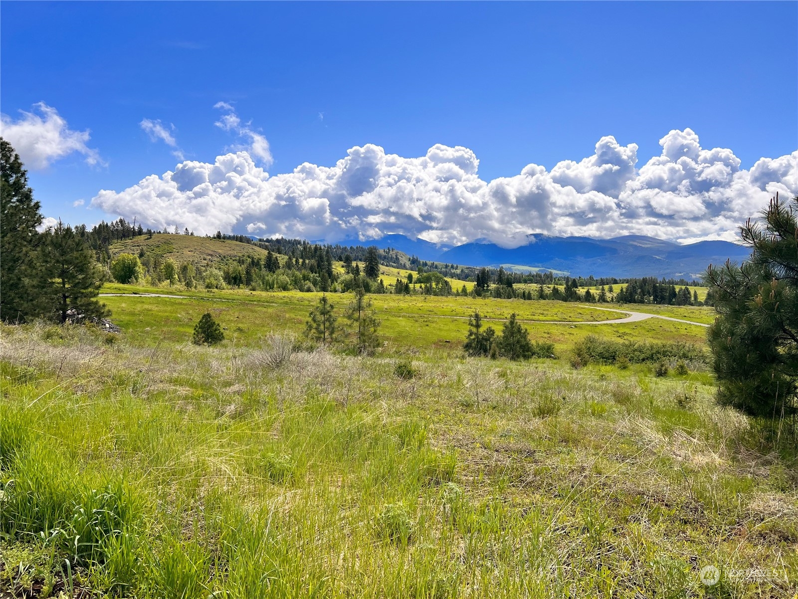 39 Moonlight Drive , Curlew, WA 99118