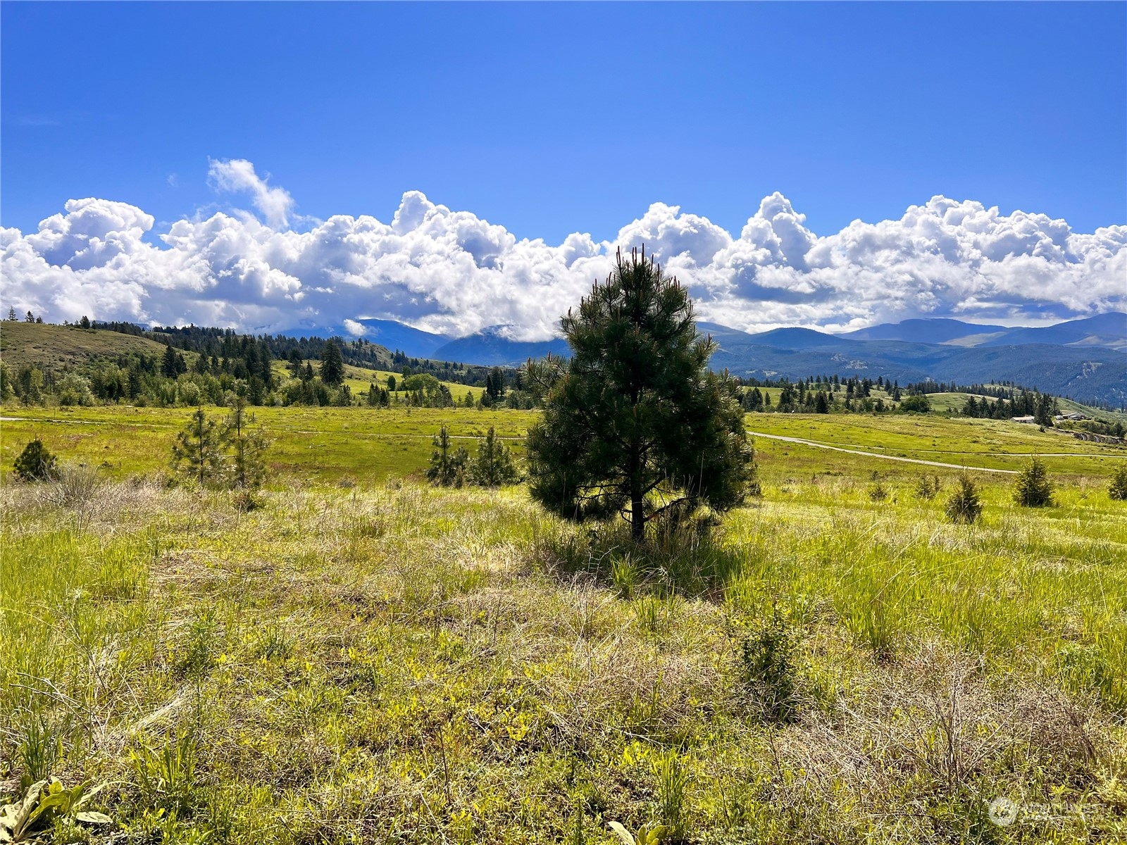 39 Moonlight Drive , Curlew, WA 99118