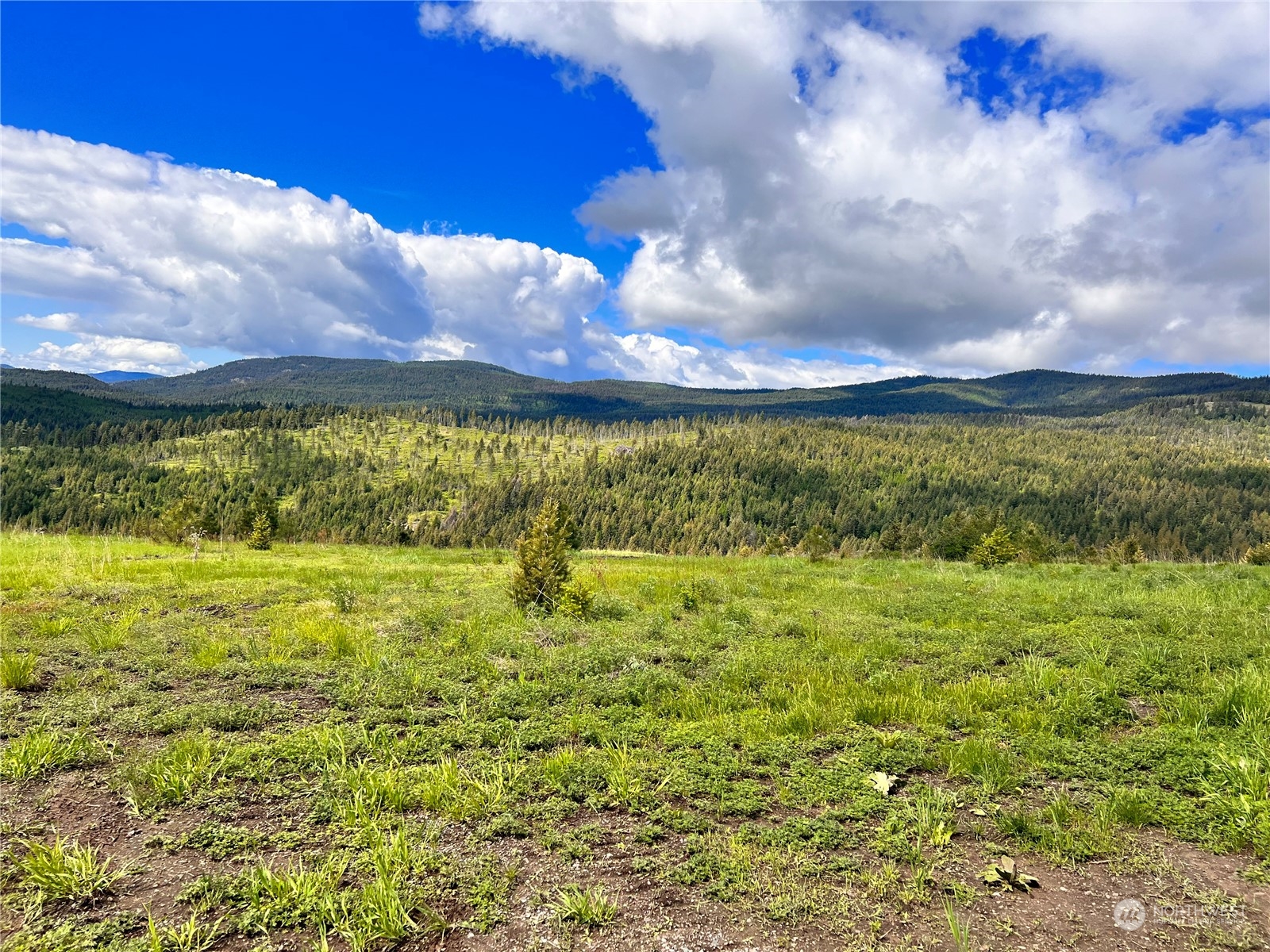 39 Moonlight Drive , Curlew, WA 99118