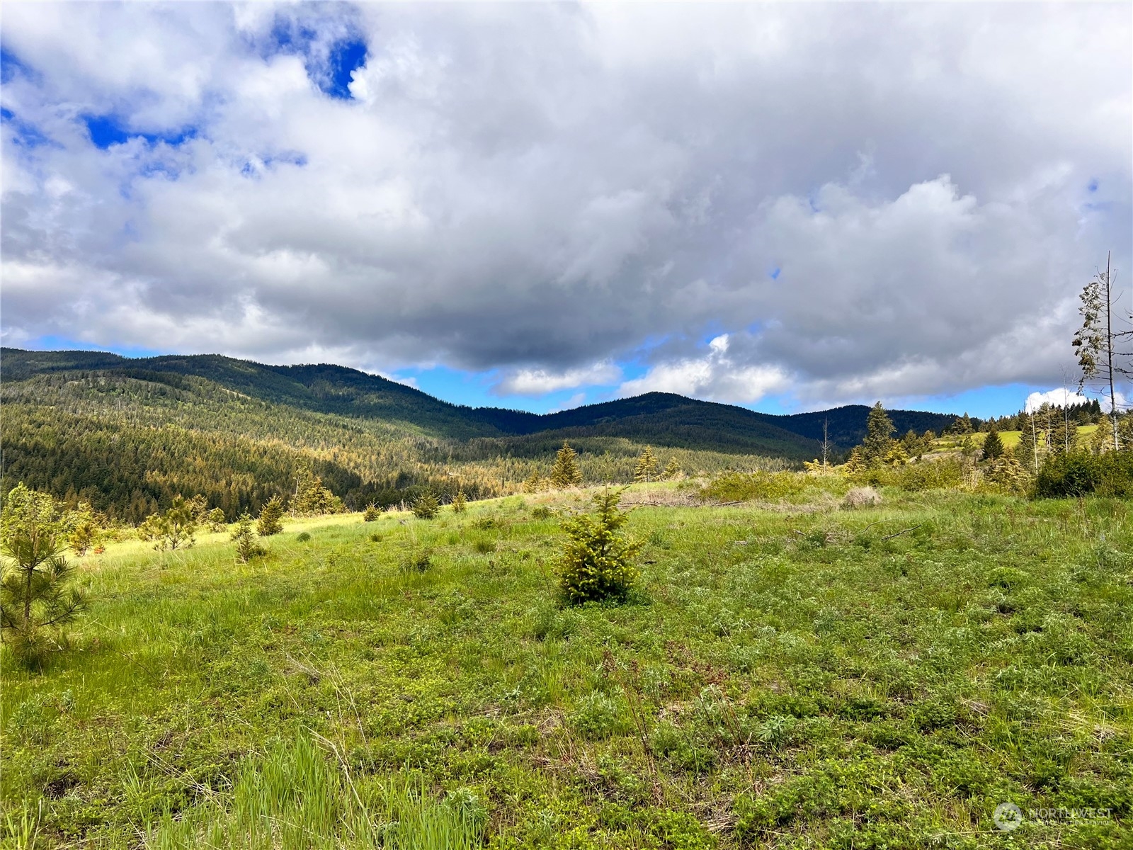 39 Moonlight Drive , Curlew, WA 99118