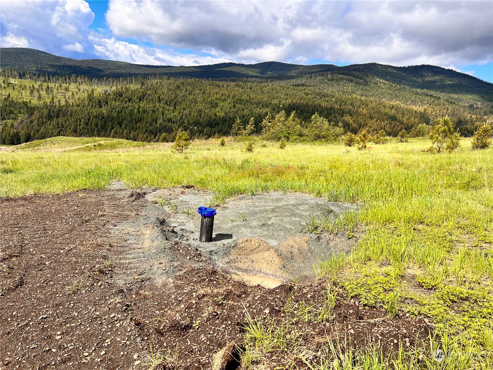 39 Moonlight Drive , Curlew, WA 99118