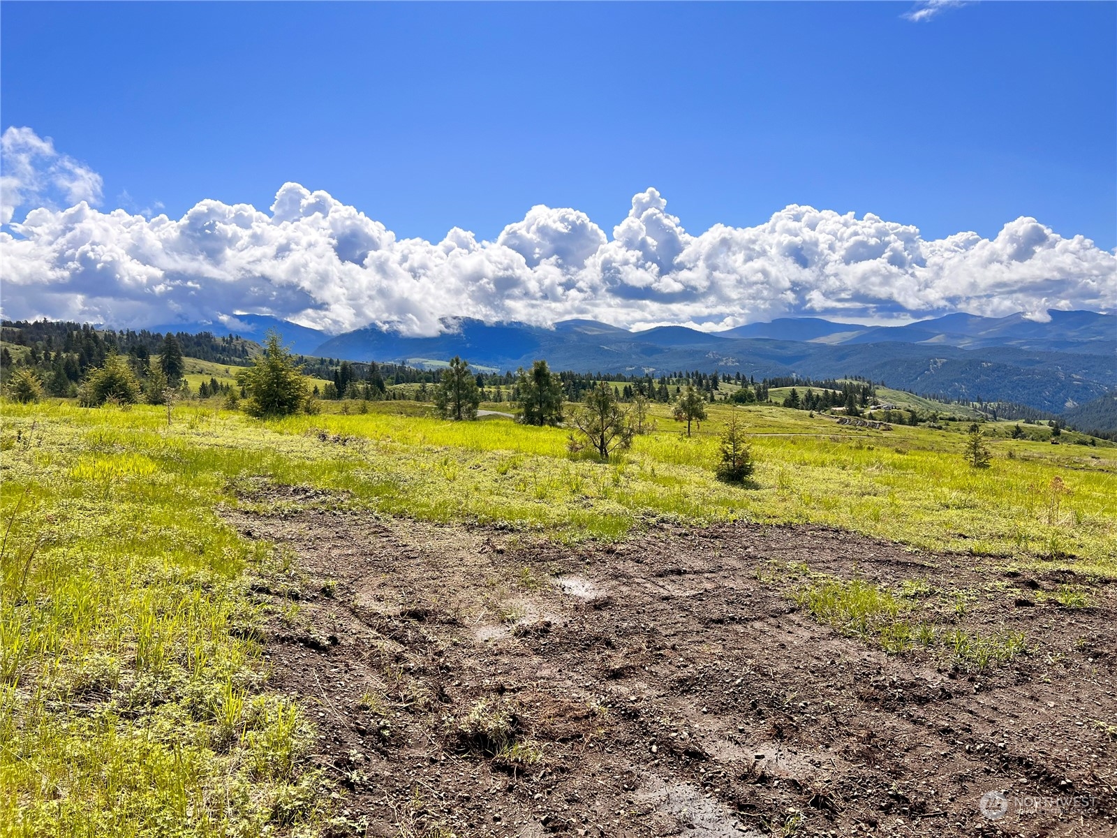 39 Moonlight Drive , Curlew, WA 99118