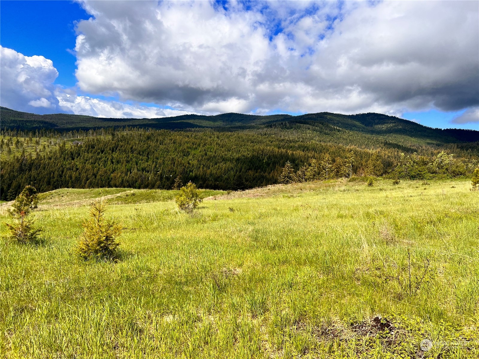 39 Moonlight Drive , Curlew, WA 99118