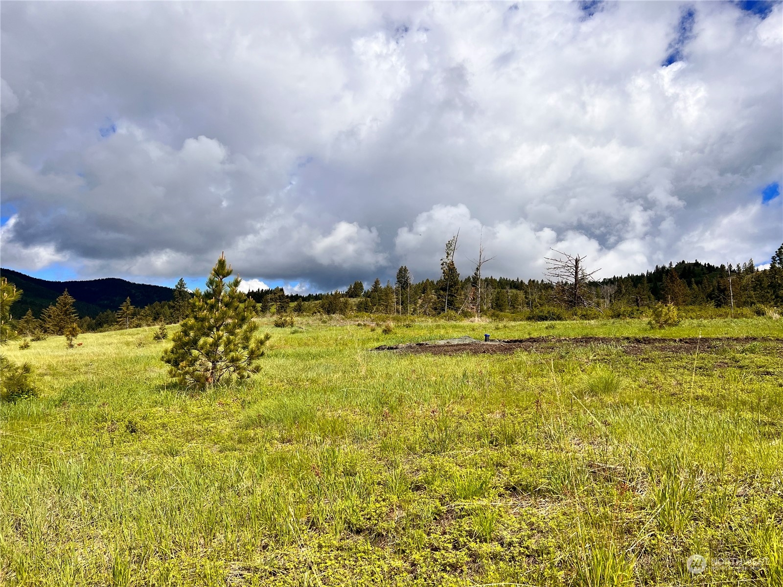 39 Moonlight Drive , Curlew, WA 99118