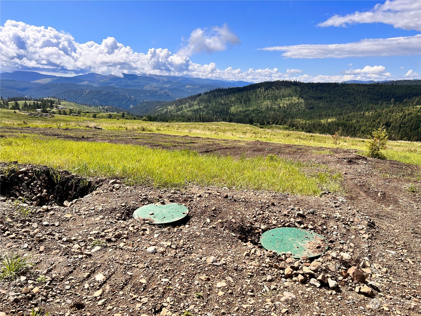 39 Moonlight Drive , Curlew, WA 99118