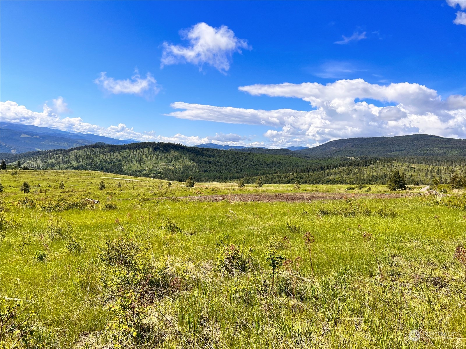 44 Moonlight Drive , Curlew, WA 99118