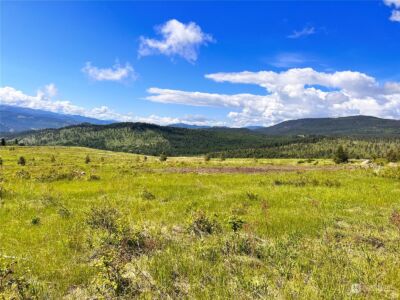 44 Moonlight Drive , Curlew, WA 99118