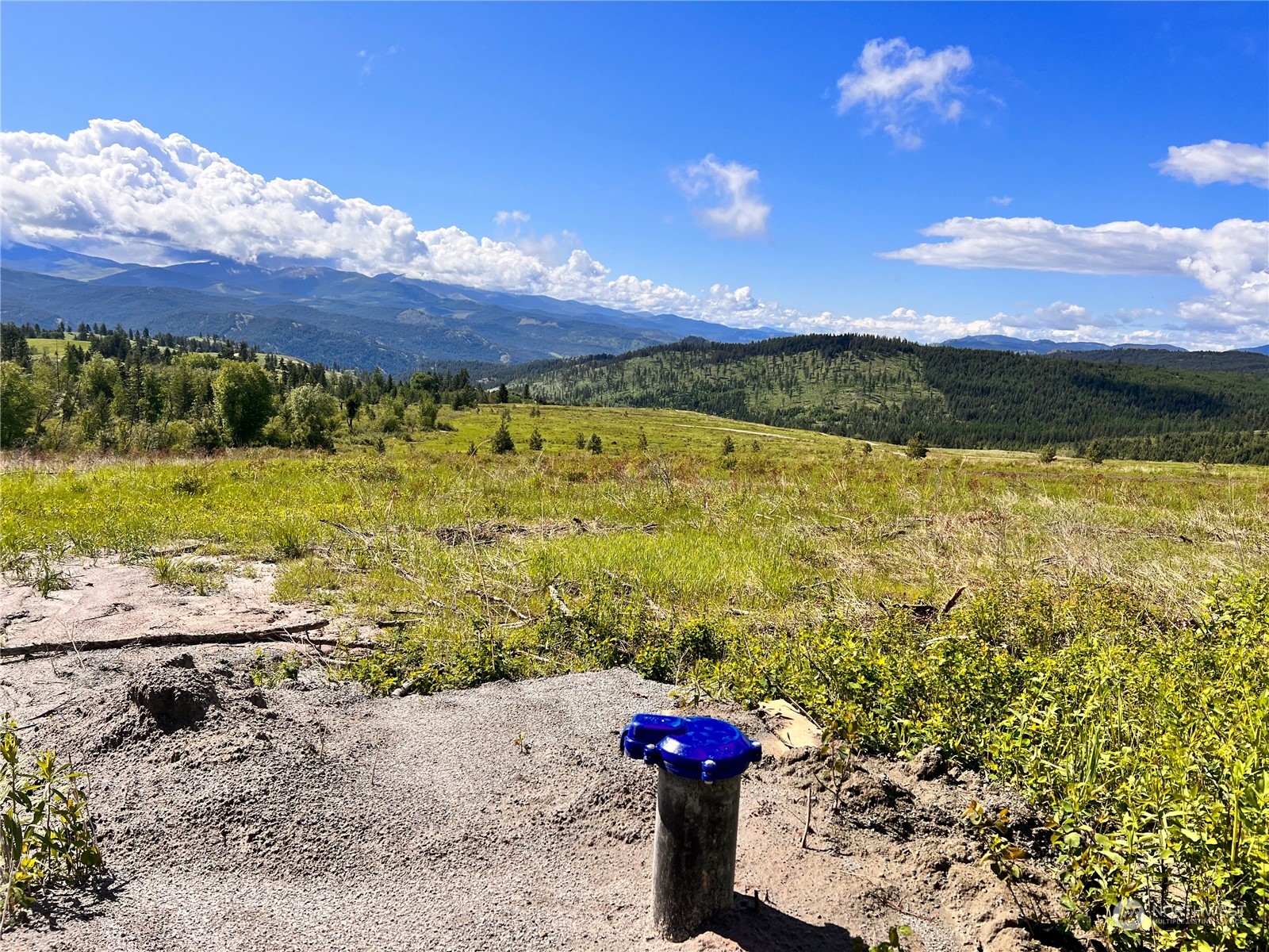 44 Moonlight Drive , Curlew, WA 99118