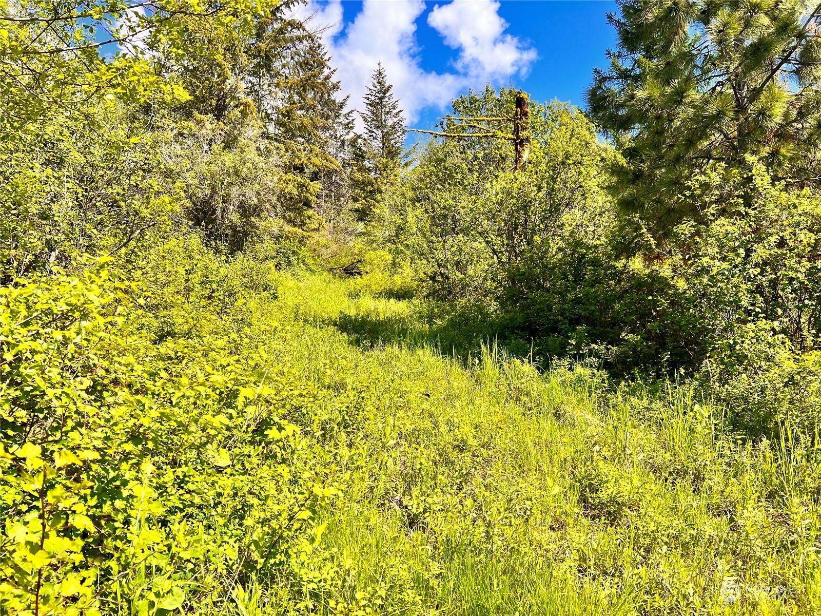 44 Moonlight Drive , Curlew, WA 99118